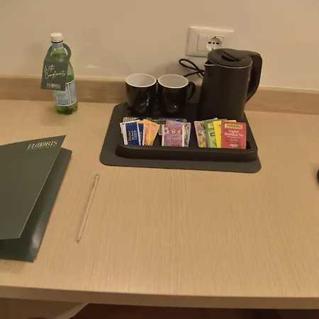 Floris Hotel 3*